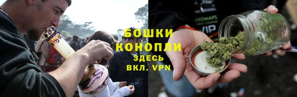 ГАЛЛЮЦИНОГЕННЫЕ ГРИБЫ Алексеевка