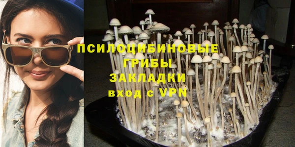 ГАЛЛЮЦИНОГЕННЫЕ ГРИБЫ Алексеевка